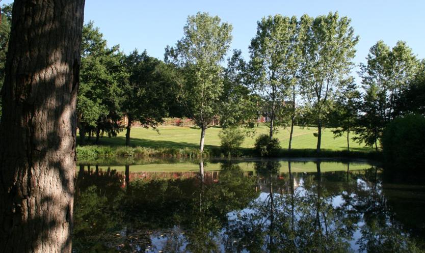 לינה וארוחת בוקר Ardenais Domaine De Vilotte מראה חיצוני תמונה